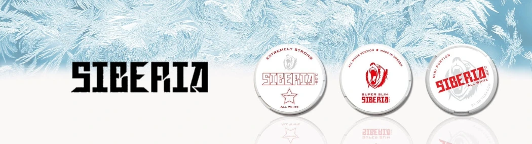 Siberia Mayorista | Bolsas de Nicotina al Por Mayor