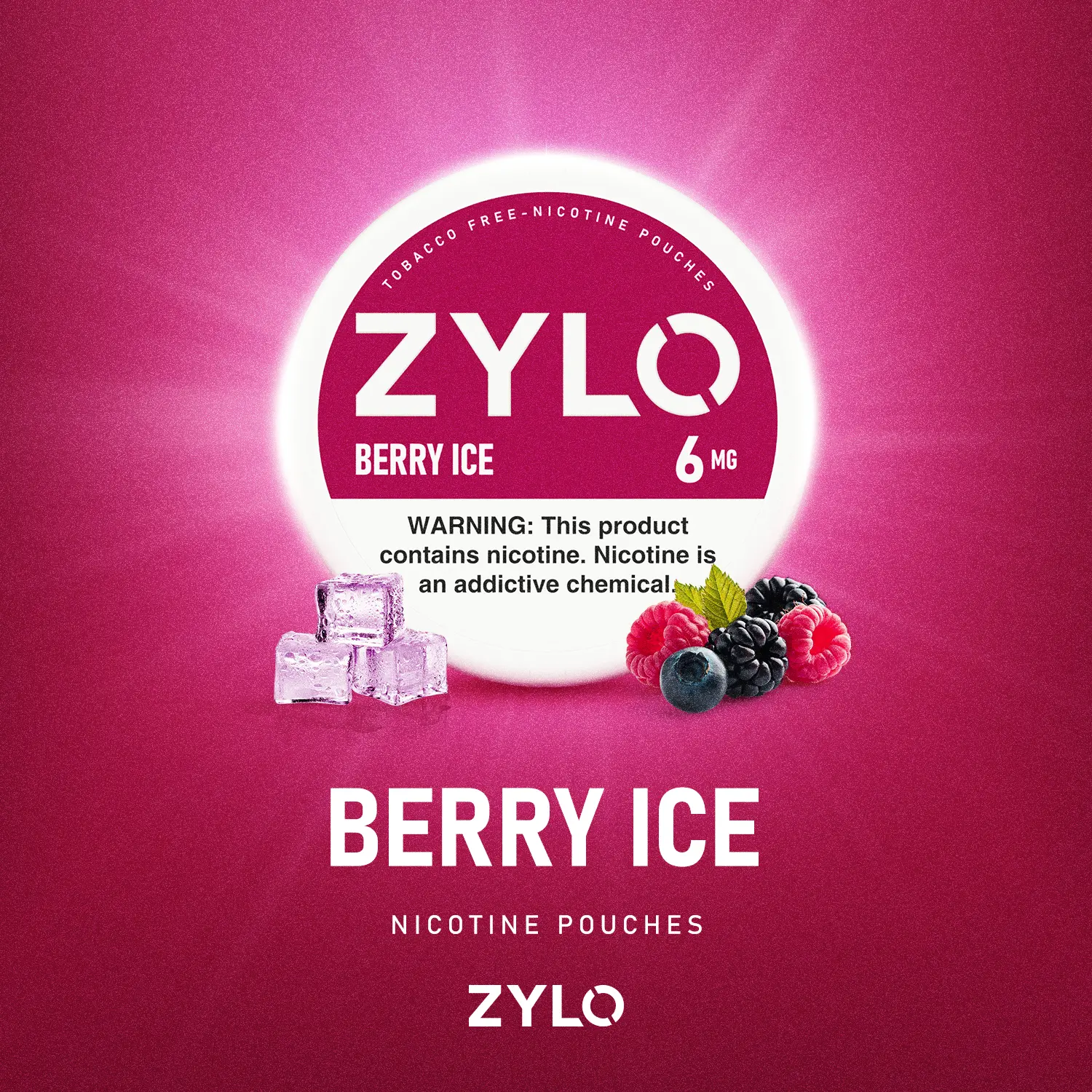 ZYLO Berry Ice 6mg – Bolsas de Nicotina afrutadas para estancos y mini markets