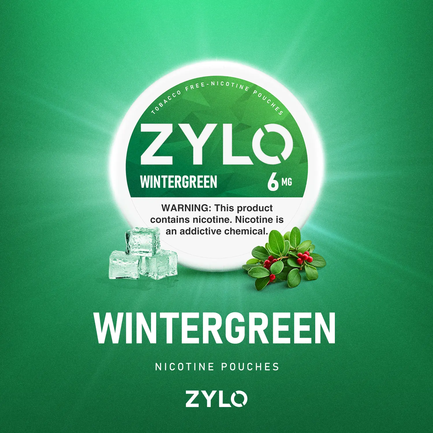 ZYLO Wintergreen 9mg – Bolsas de Nicotina frescor intenso para estancos