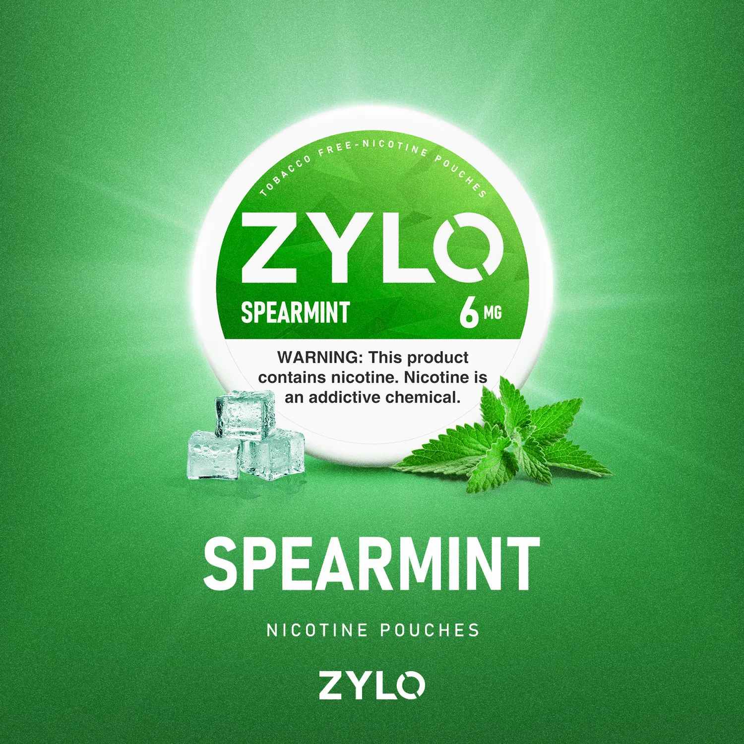 ZYLO Spearmint 9mg – Bolsas de Nicotina sabor menta fresca para estancos