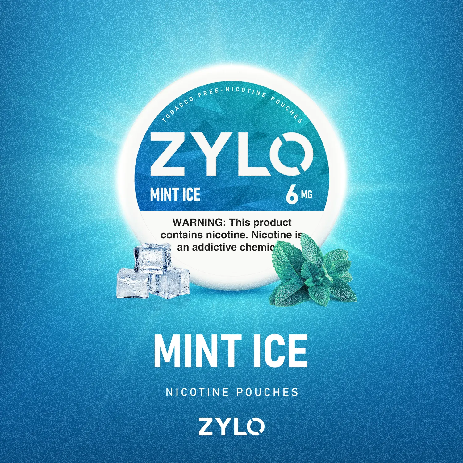ZYLO Mint Ice 9mg – Bolsitas de Nicotina premium para estancos y alimentación